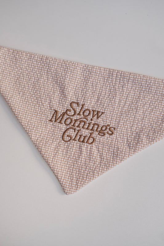 bandana - slow morning