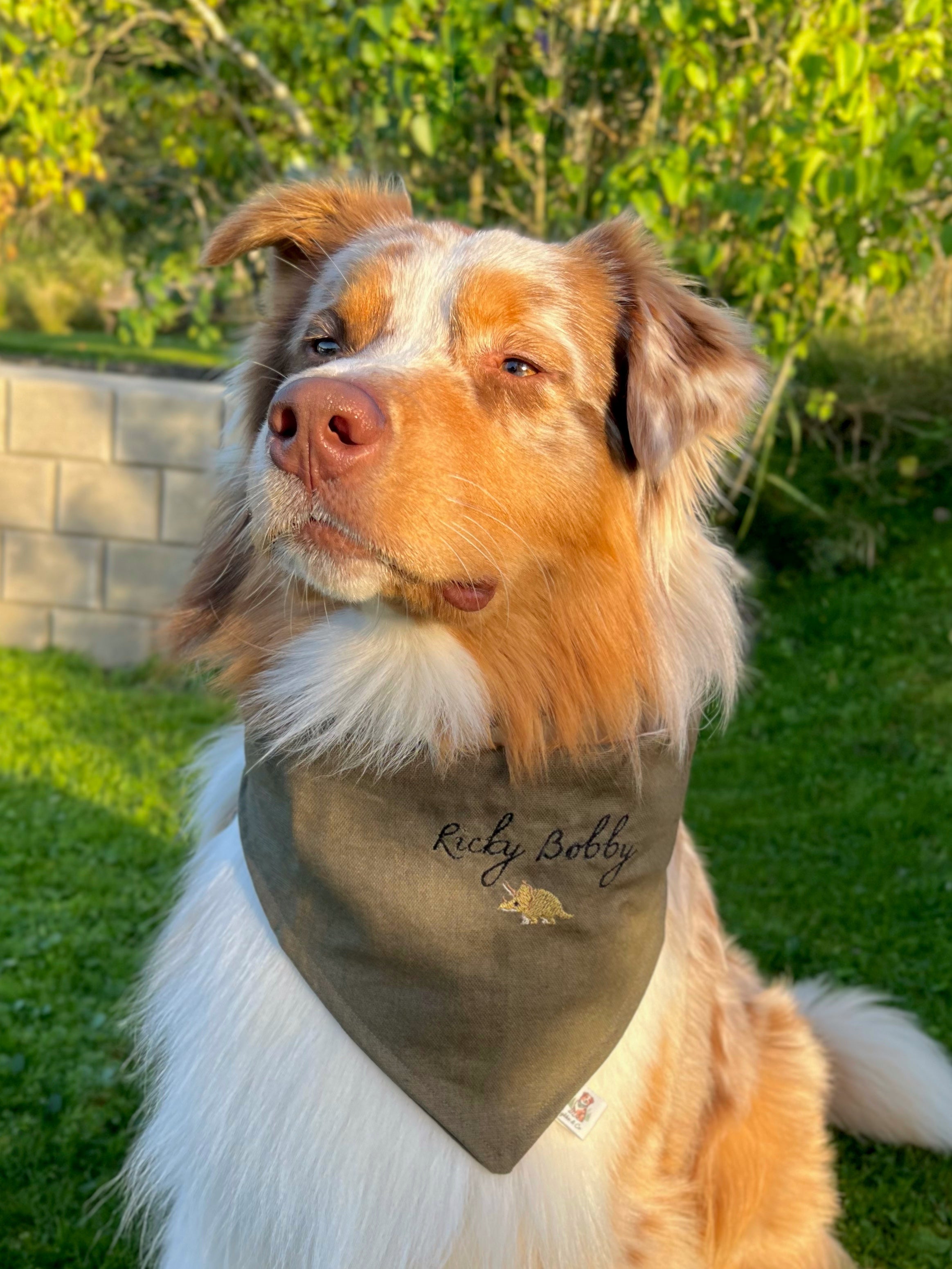 Dino & Navn Bandana