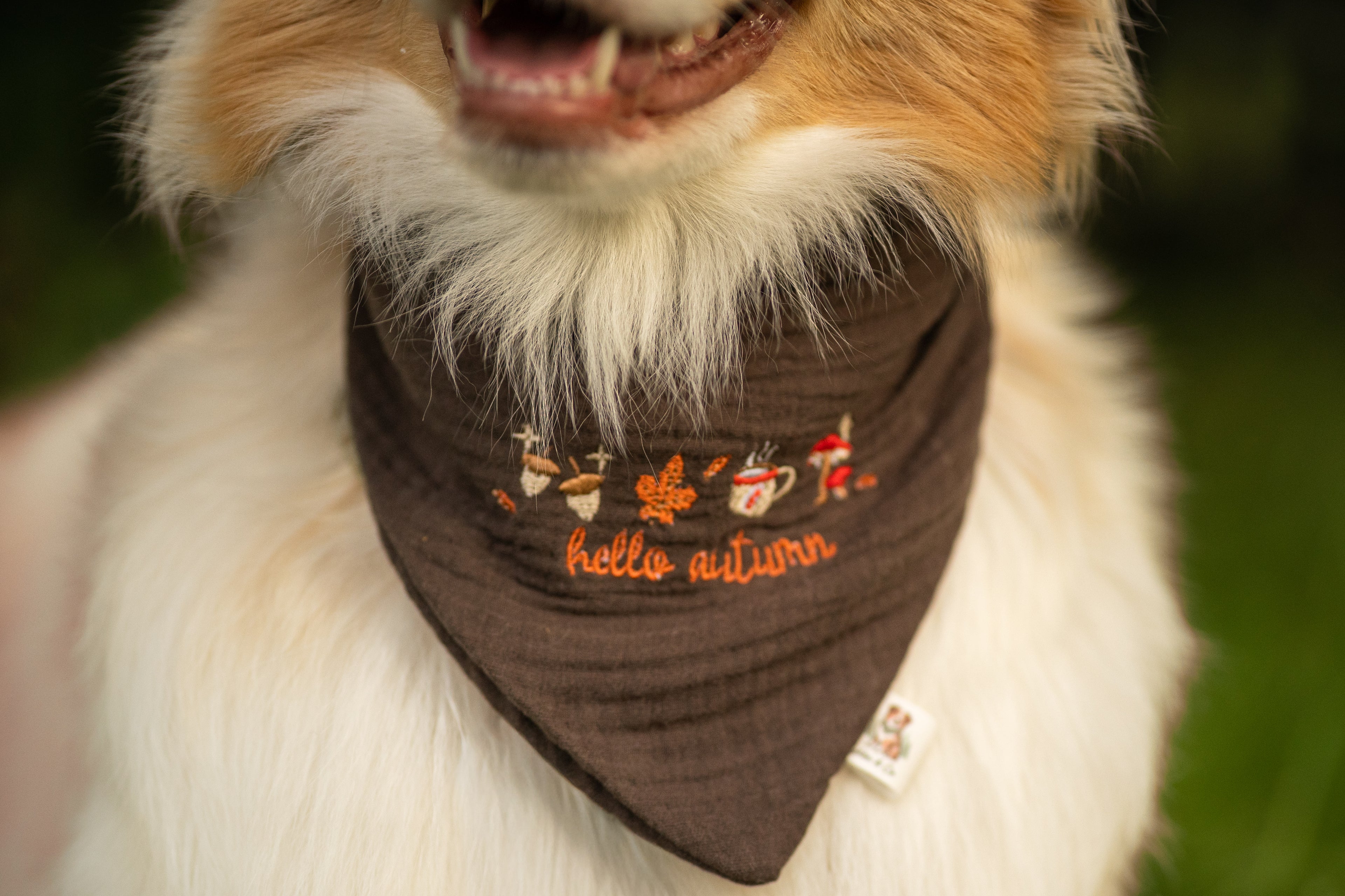 Hello Autumn Bandana