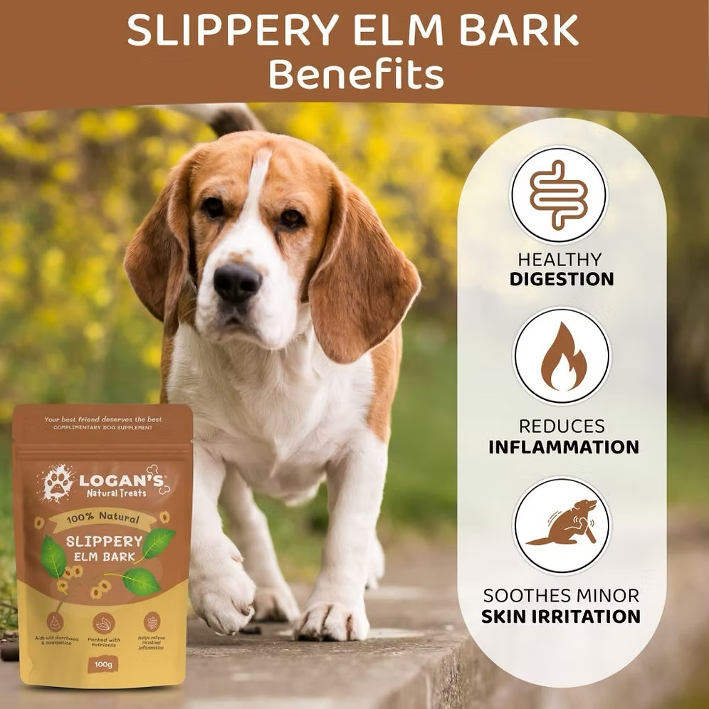 slippery elm bark pulver