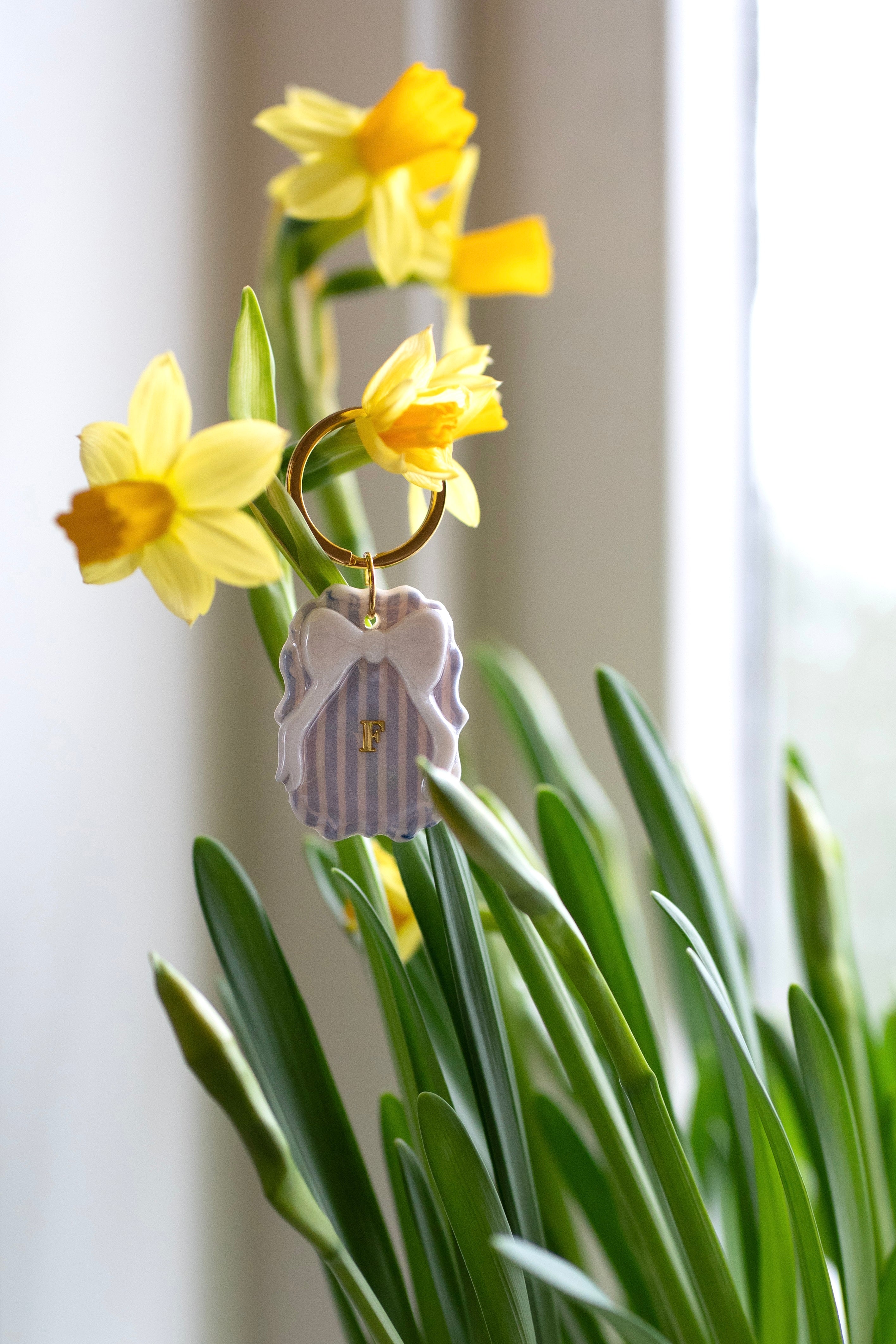 charm - sløyfedrøm