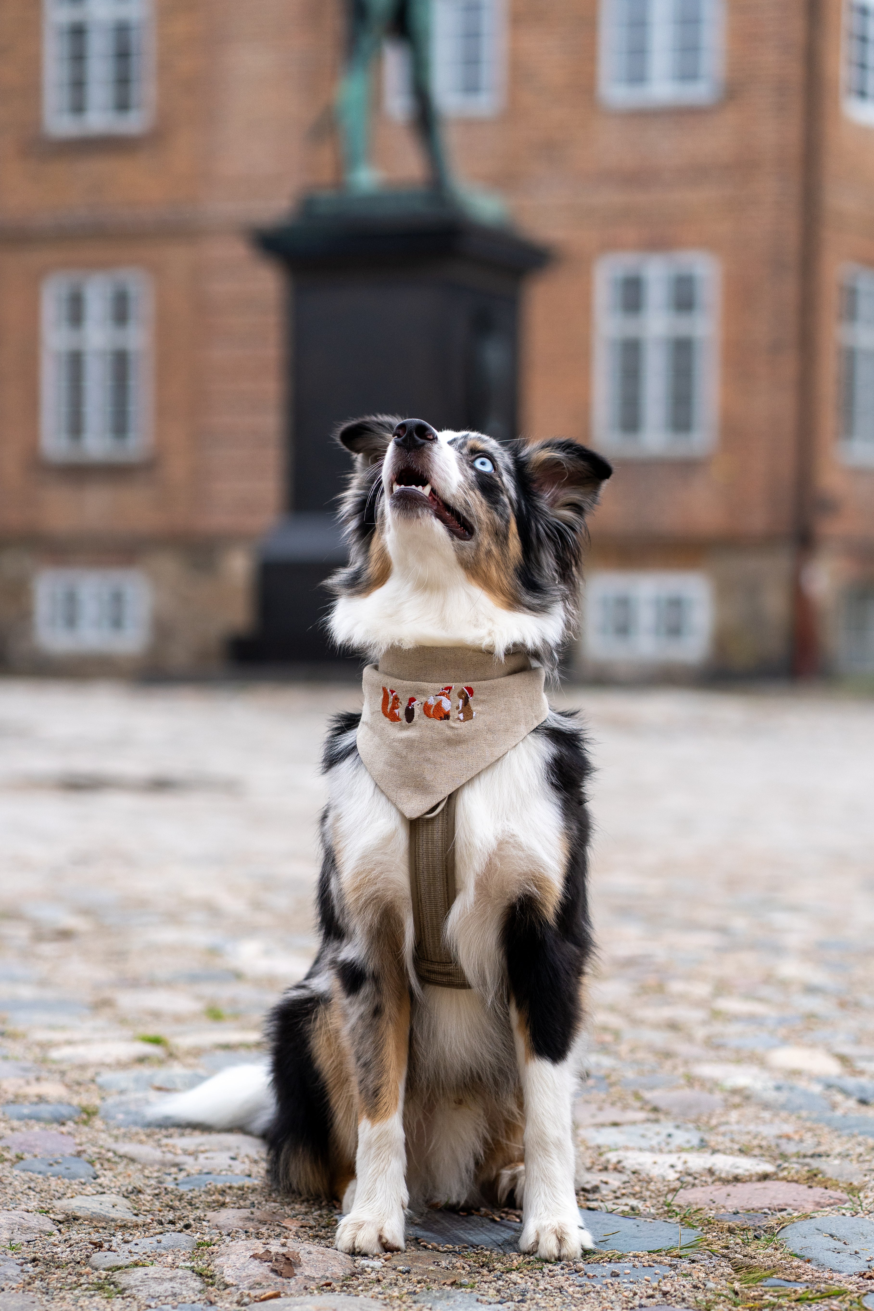 Skogsnissene Bandana