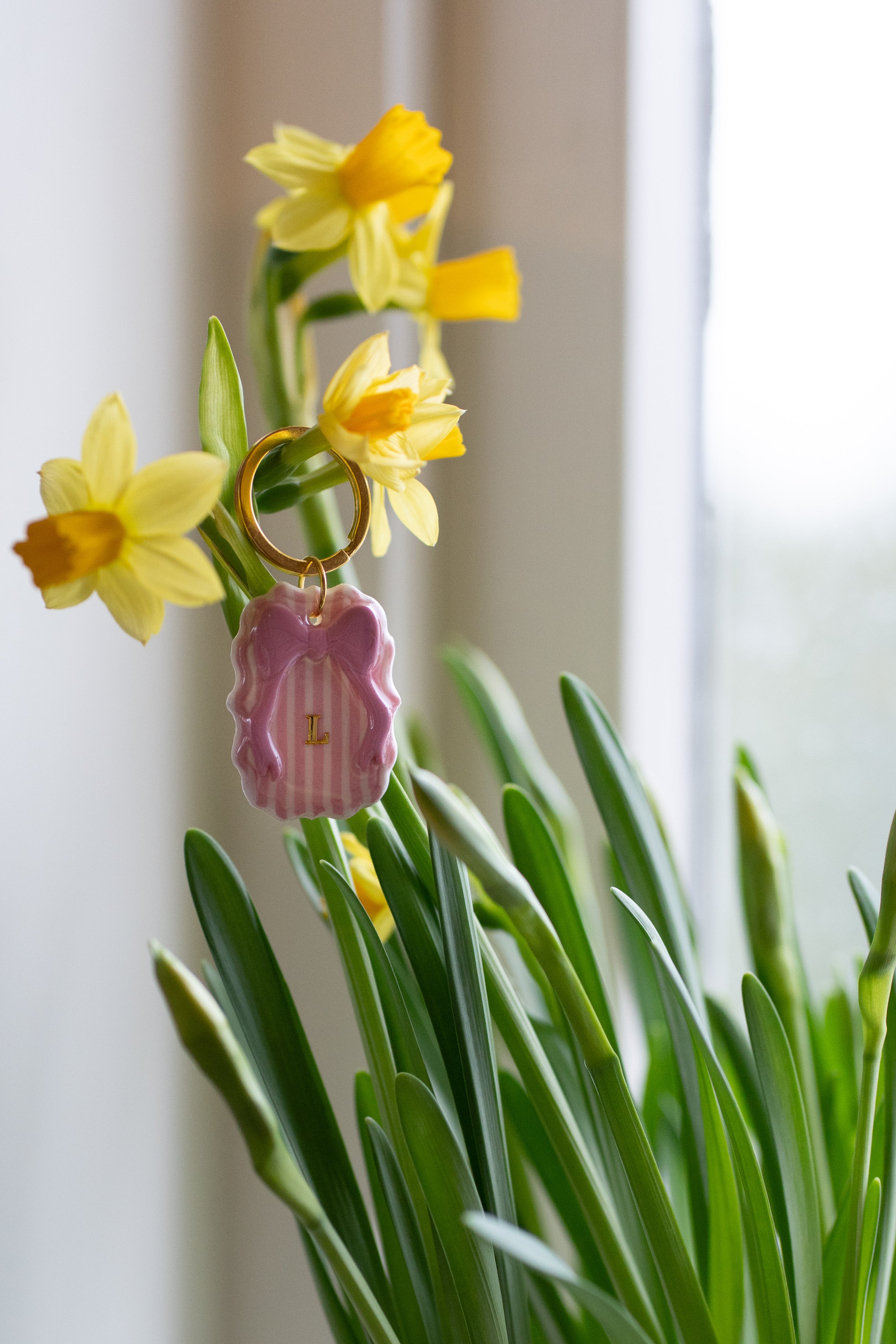 charm - sløyfedrøm