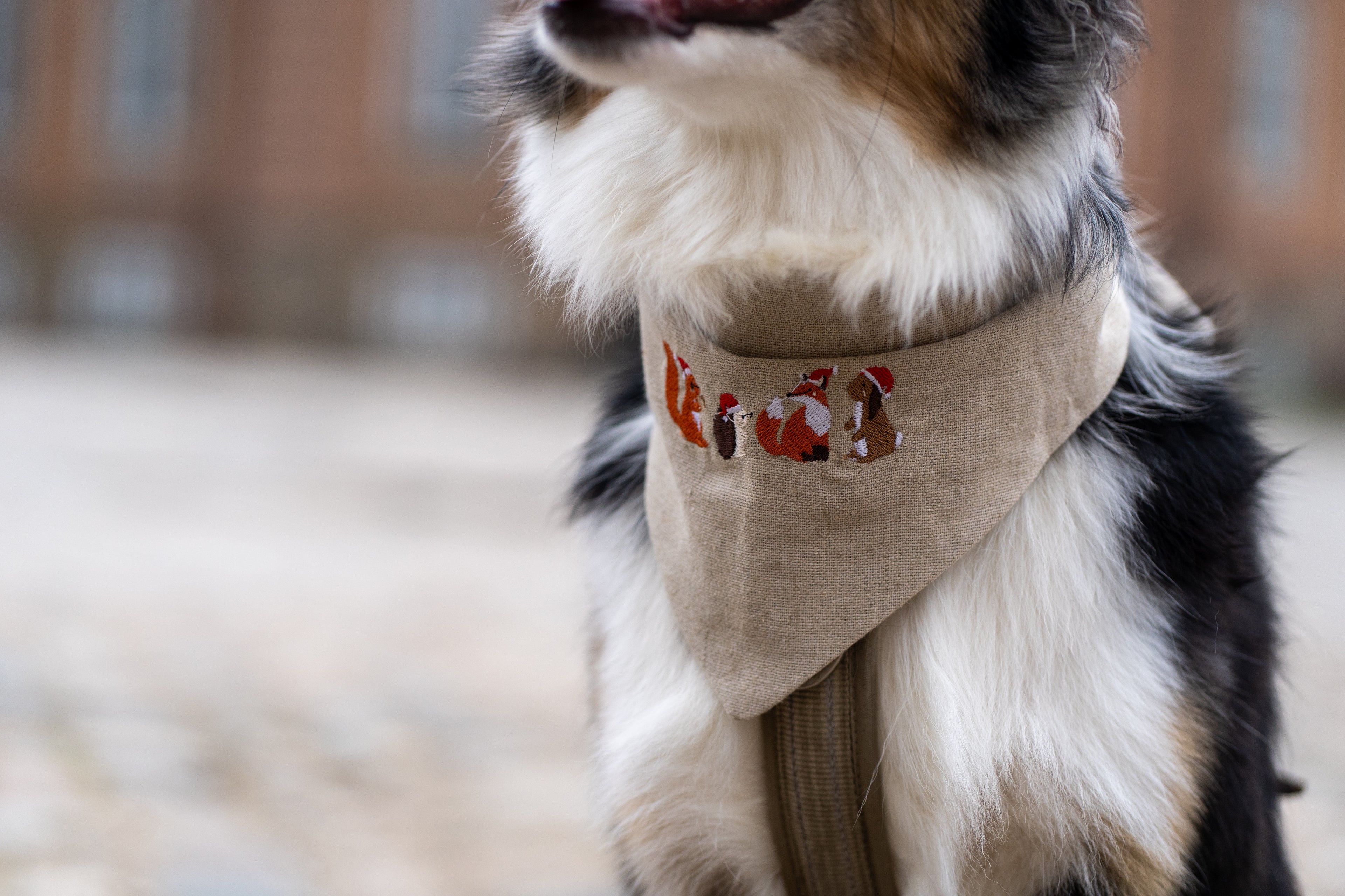 Skogsnissene Bandana