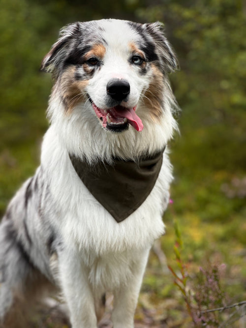 Army Bandana