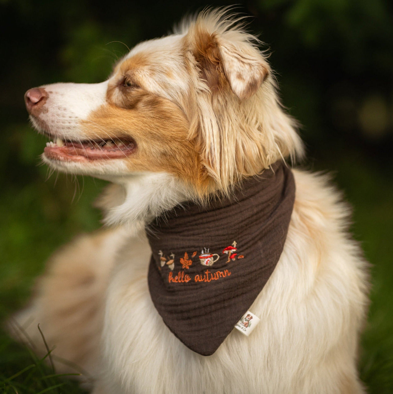 Hello Autumn Bandana