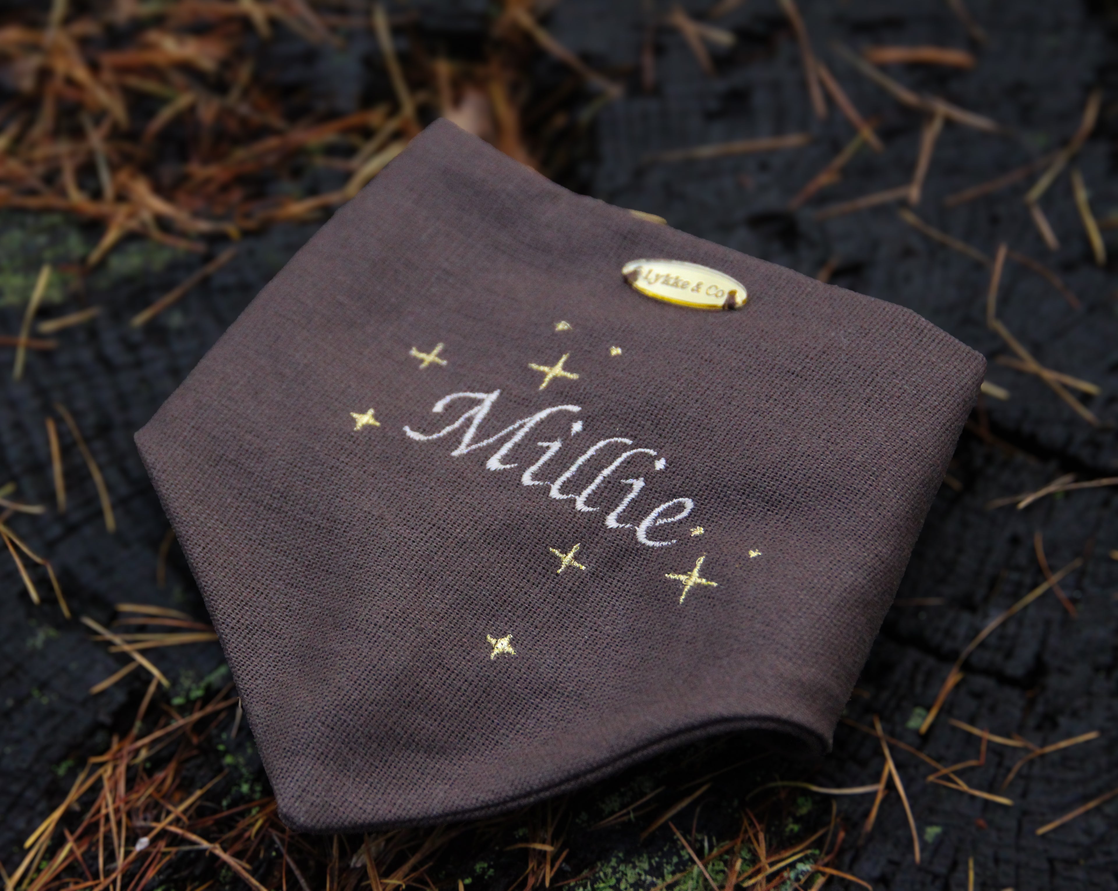 Starry Night Bandana