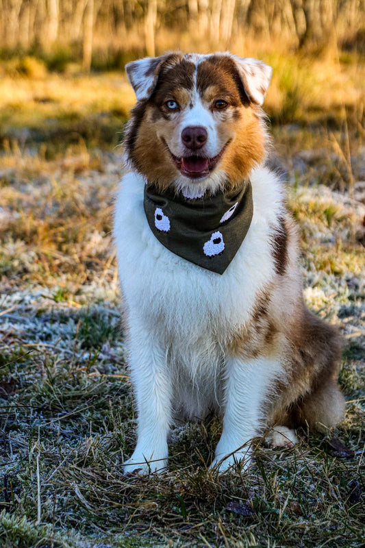 bandana - shepherd’s charm